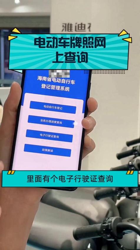 电动车个人信息查询缩略图