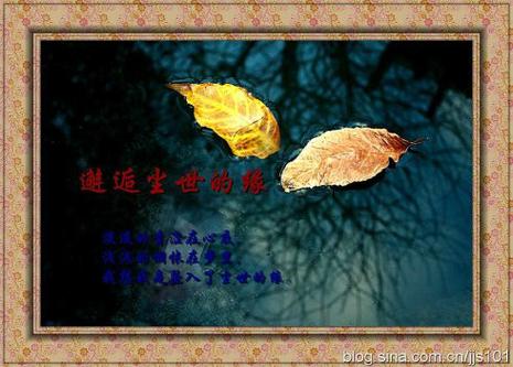 收废品的参加相亲节目