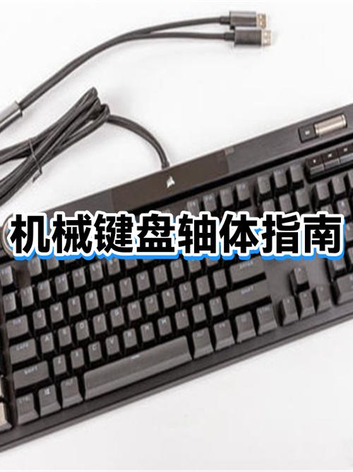 机械键盘轴怎么拆轴游戏截图