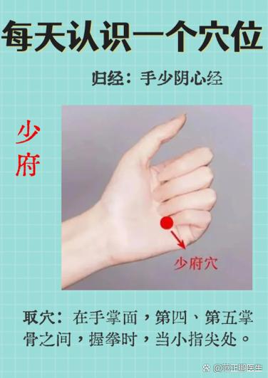少府穴在哪里?