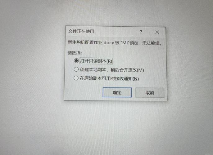 电脑文档被锁定,所有的都无法编辑图标