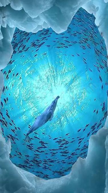 深海水族馆隐藏鱼章鱼图标