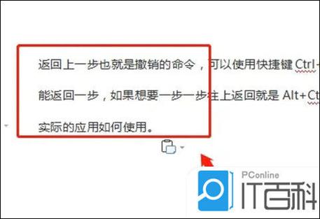 ipadair3如何返回上一步
