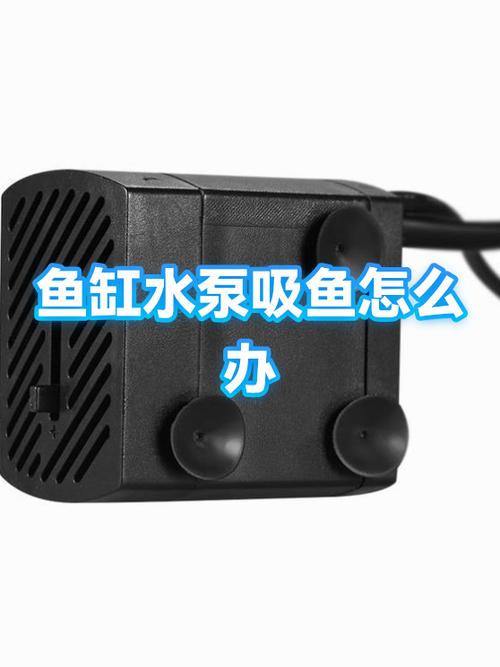 鱼缸换完水水泵不抽水了