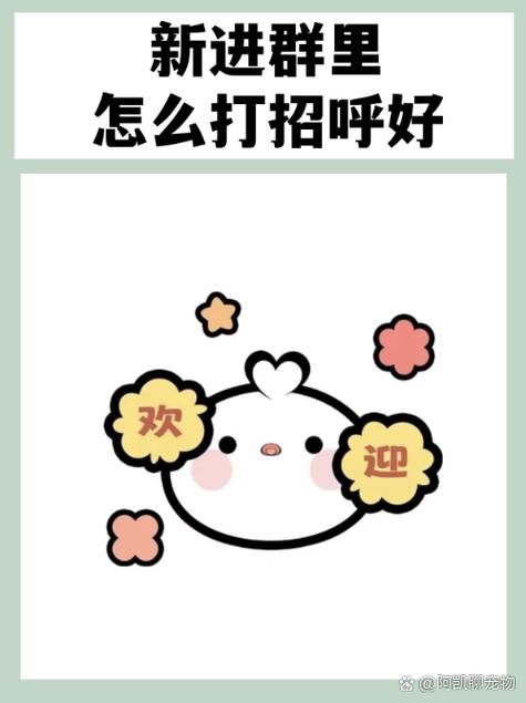 加入老乡群怎么打招呼