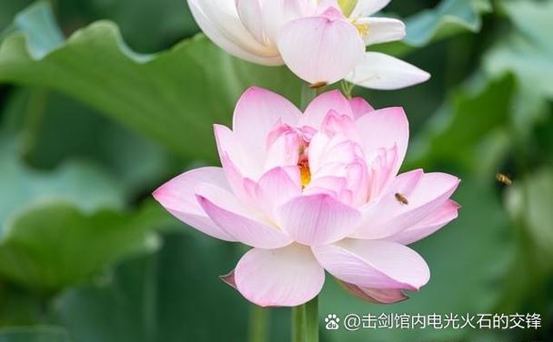 屏幕熄灭了微信有信息不提醒缩略图