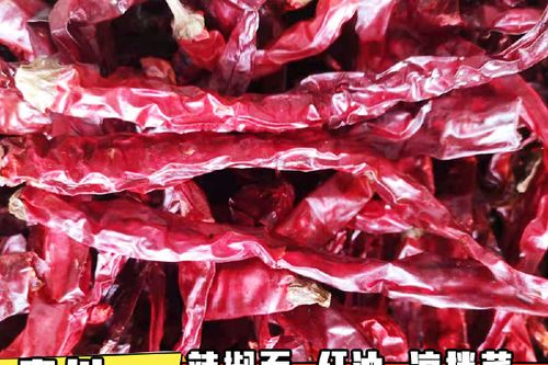 大方皱皮辣椒