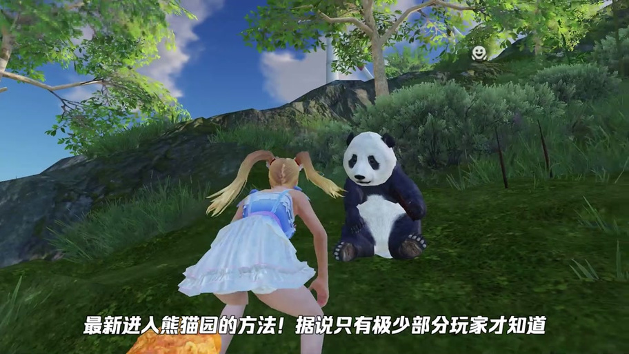 熊猫框架最新版本游戏截图
