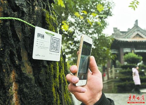 360摄像头扫描二维码不识别游戏截图