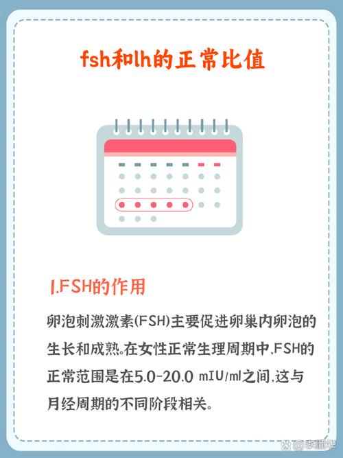 LH是什么含义游戏截图