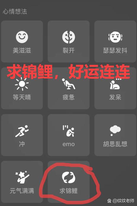 锦鲤软件公司