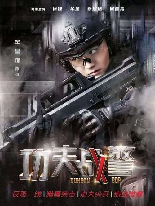 2020功夫战警电视剧在线观看缩略图