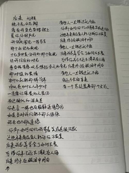 后来歌词缩略图