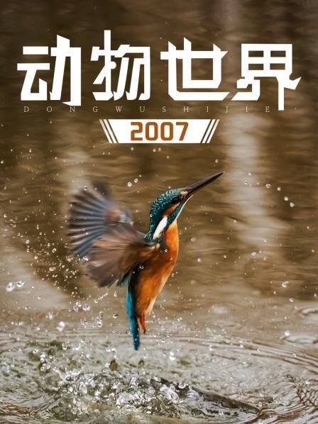 《动物世界》纪录片游戏截图