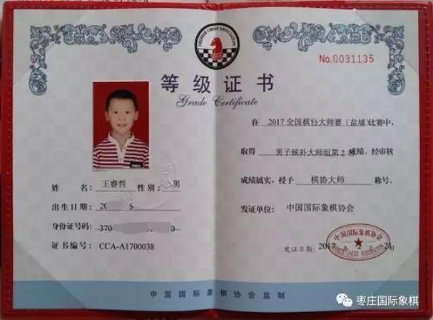 国际象棋证书有用吗缩略图