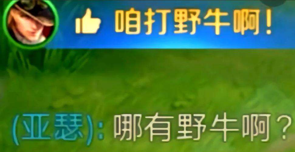 王者荣耀队友对话图标