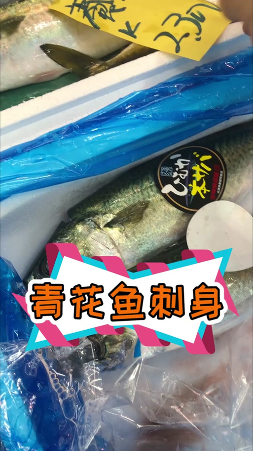 青花鱼养殖交流论坛下载缩略图