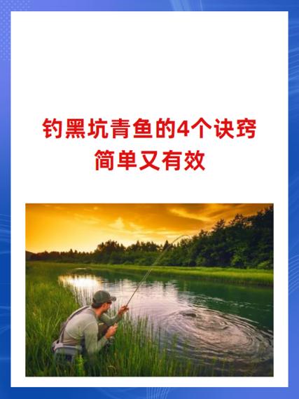 黑坑钓青鱼最好最快的方法缩略图