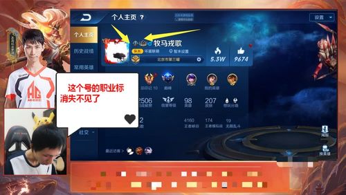 王者荣耀职业选手认证图标游戏截图