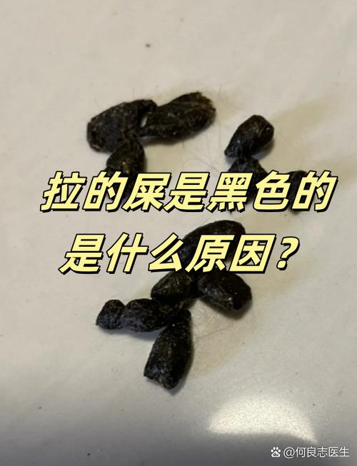 屎拉的是黑色的咋回事缩略图