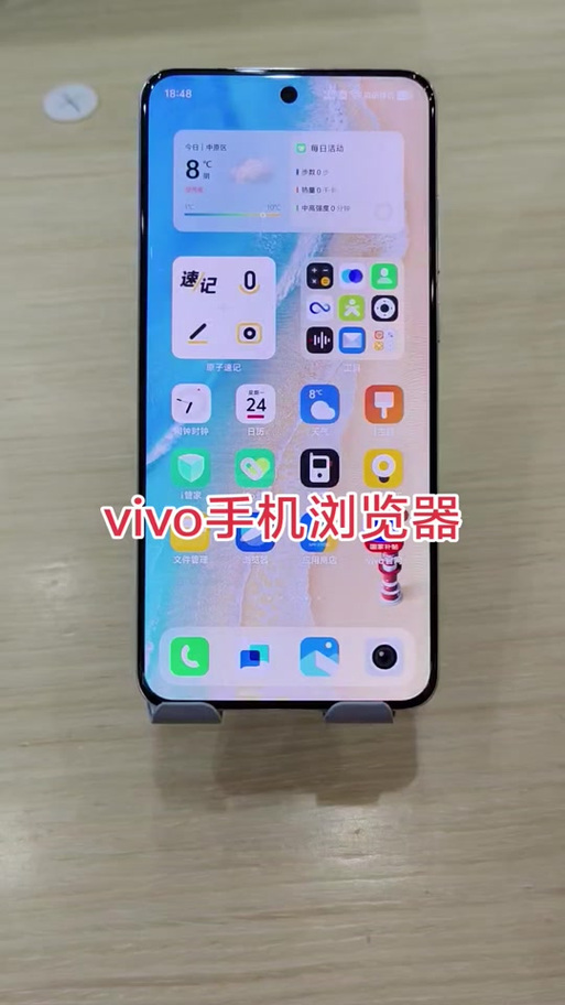 vivo浏览器6.0版本缩略图