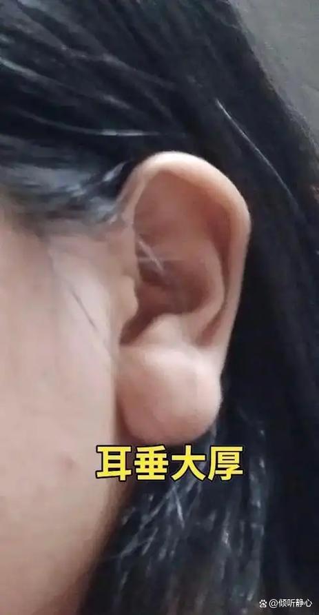 十大富贵耳型图标