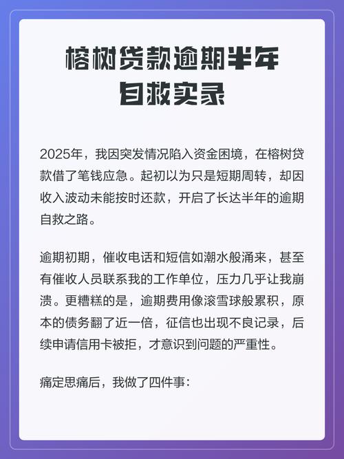 榕树贷款亲身经历图标