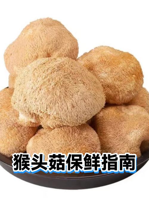 蘑菇怎么冷冻保存