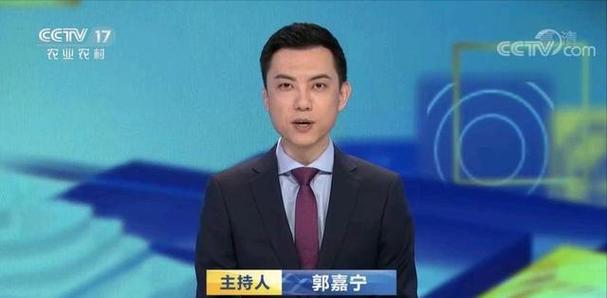 河南电视台主持人郭嘉宁缩略图