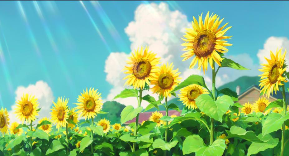 屏幕横屏缩略图