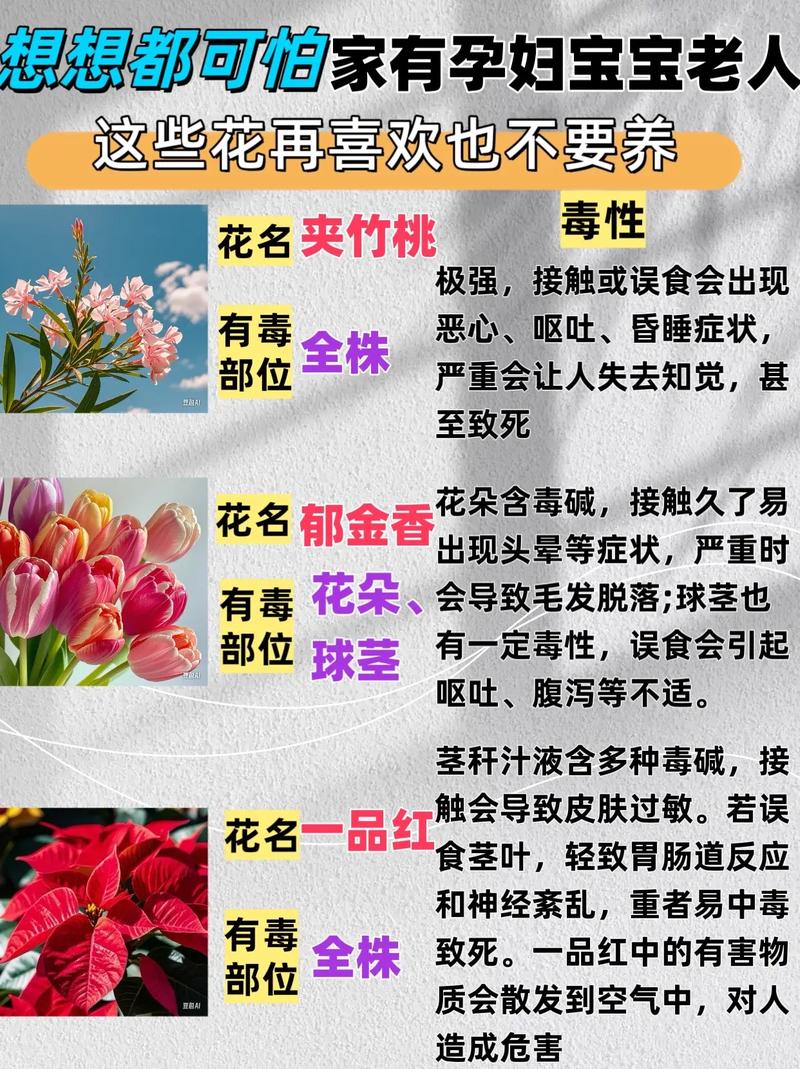 孕妇不能接触哪些花草