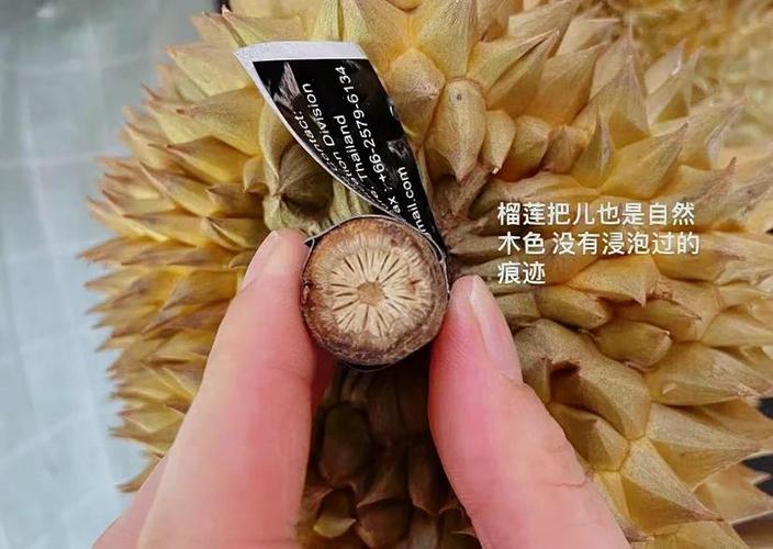 如何催熟榴莲图标
