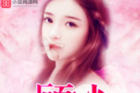 暖婚似火顾少轻轻宠未删减缩略图