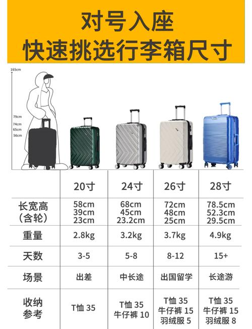 行李箱扎带怎么用视频