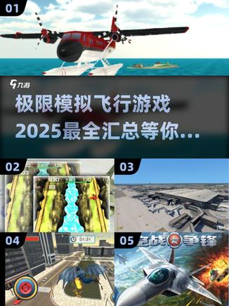 微软模拟飞行2025官方正版图标