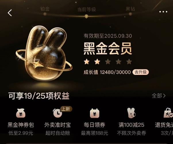 美团黑金会员是永久的吗缩略图