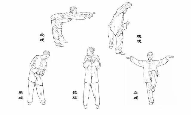 五禽戏口令完整版缩略图