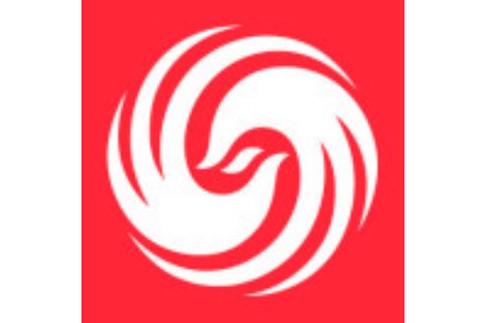 凤凰网的网址缩略图