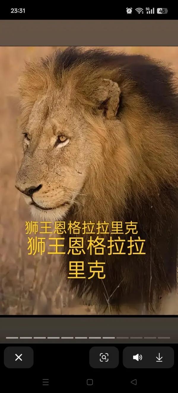 安格瑞姆在哪里