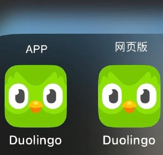 多邻国安卓版旧版本游戏截图