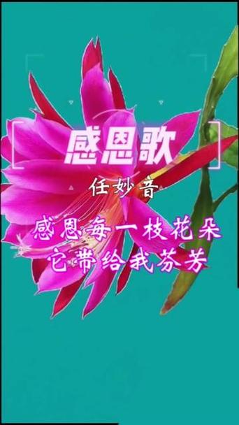 大桥卓弥 ありがとう歌词图标