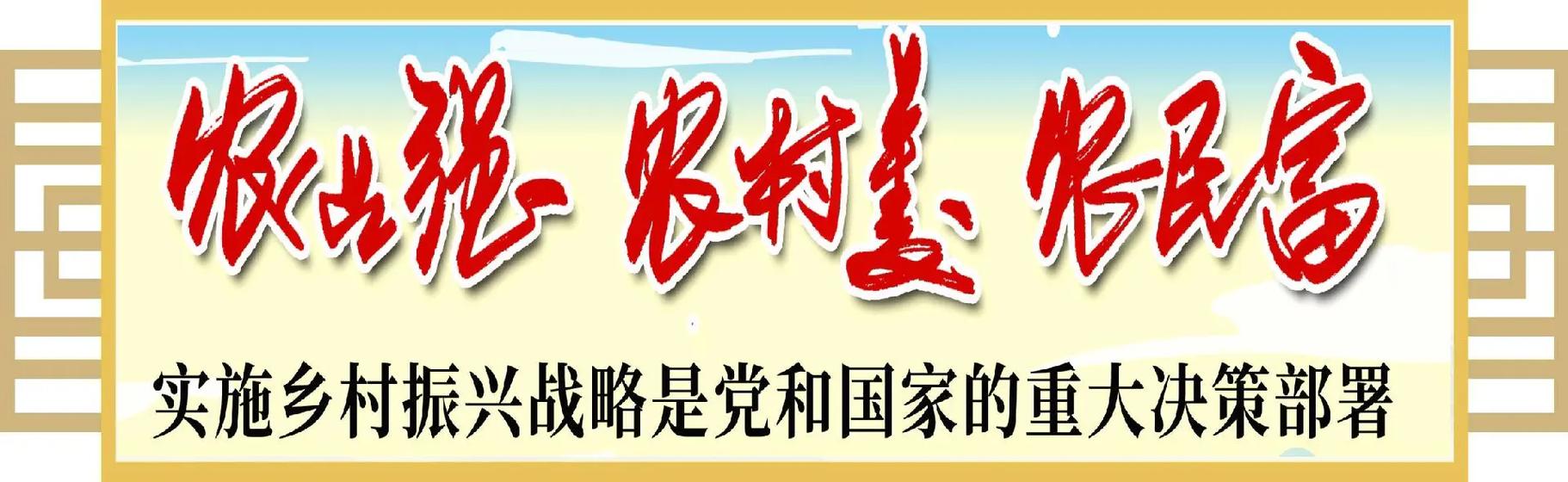 乡村振兴什么是根本缩略图