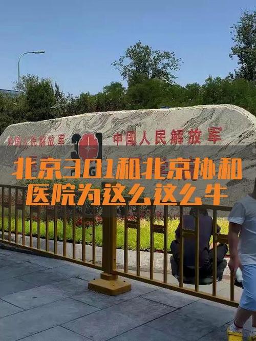 301和协和的差距图标