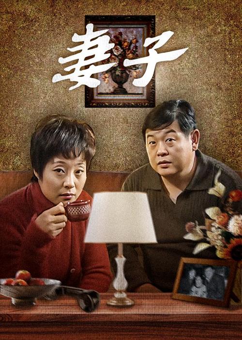 妻子电视剧全集缩略图