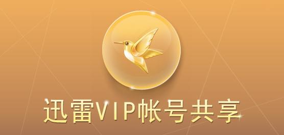 迅雷vip破解版 安卓缩略图