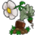 植物大战僵尸1修改器下载安装-植物大战僵尸1修改器图标