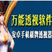 万能透视辅助器安卓版缩略图