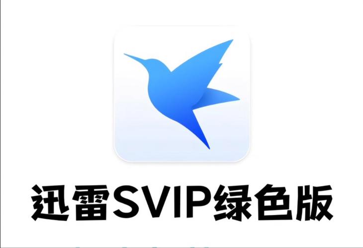 下载迅雷最新版缩略图