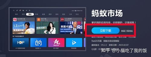 蚂蚁电视官网缩略图
