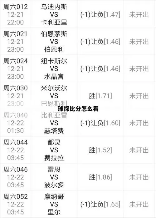 球探体育比分老版本下载v7.8缩略图